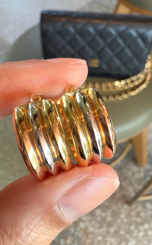 Aurea Hoop Earrings