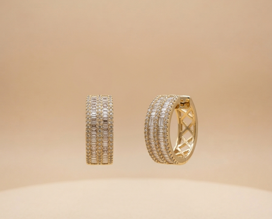 DELIA Hoop Earrings